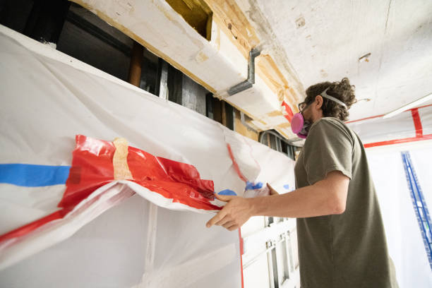 Trusted Seis Lagos, TX Mold Removal Experts