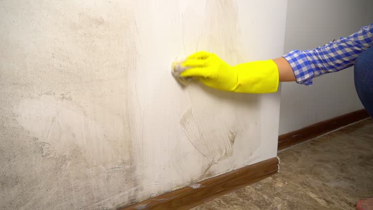 Best Mold Prevention Services  in Seis Lagos, TX